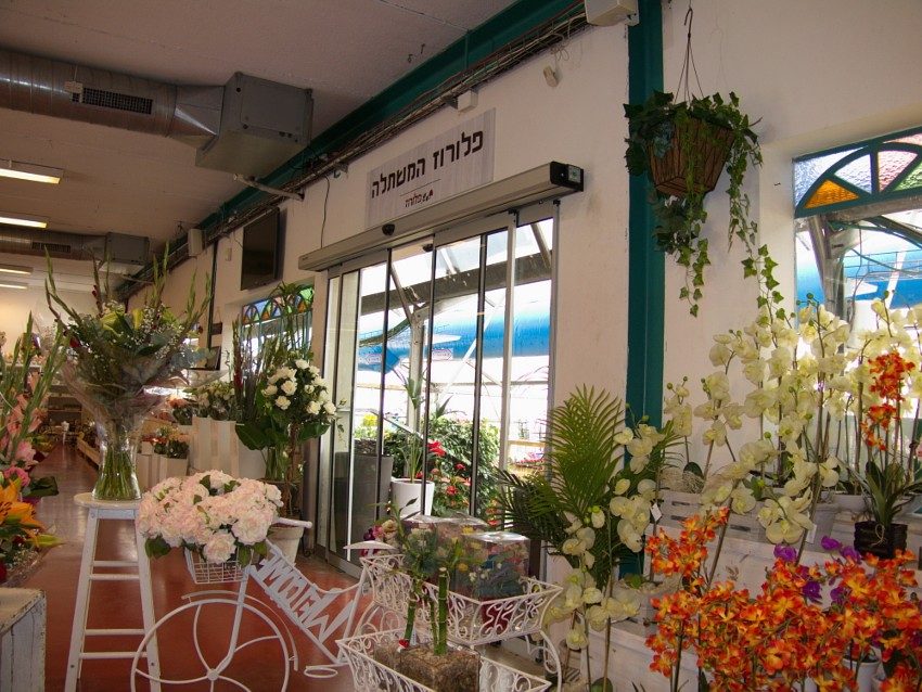 משתלת פלורוז מודיעין